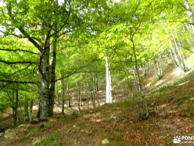 Selva de Irati - Puente del Pilar castillo cuellar silla felipe ii la garganta del chorro sitios que